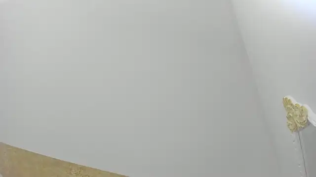 Snapshot of PandoraRider chatting on 03/31/26, 12:51 PandoraRider online show from 03/31/26, 12:51