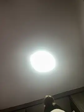 Snapshot of PandoraRider chatting on 04/03/26, 12:44 PandoraRider online show from 04/03/26, 12:44