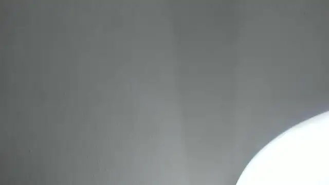 Snapshot of PandoraRider chatting on 04/16/26, 01:34 PandoraRider online show from 04/16/26, 01:34