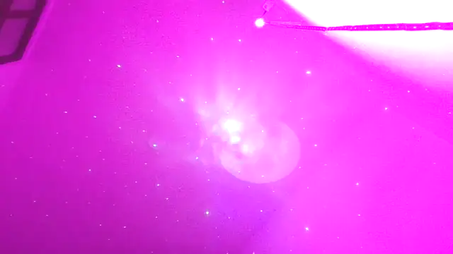 Tiramisu89 online show from 03/29/26, 01:40