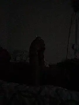 Johnras121 online show from 04/11/26, 12:40