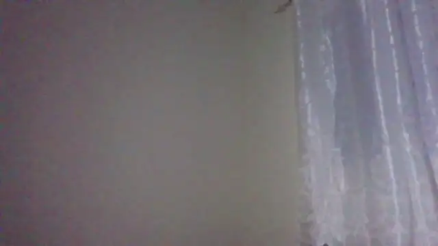 sweets 80 online show from 10/10/25, 05:25