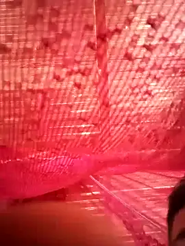 tekashiloco online show from 09/13/25, 03:01