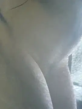 tereza444 online show from 01/18/26, 07:39