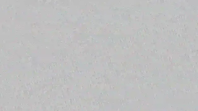 mara jackson  online show from 03/14/25, 11:00