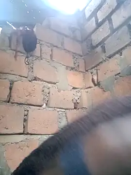 Black juicy24 online show from 04/12/26, 04:16