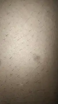 Snapshot of rohitlov150 chatting on 03/11/25, 12:50 rohitlov150 online show from 03/11/25, 12:50