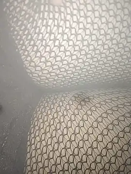 Snapshot of rohitlov150 chatting on 03/02/25, 10:13 rohitlov150 online show from 03/02/25, 10:13