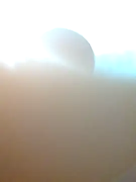 Jair BM online show from 03/17/25, 04:29