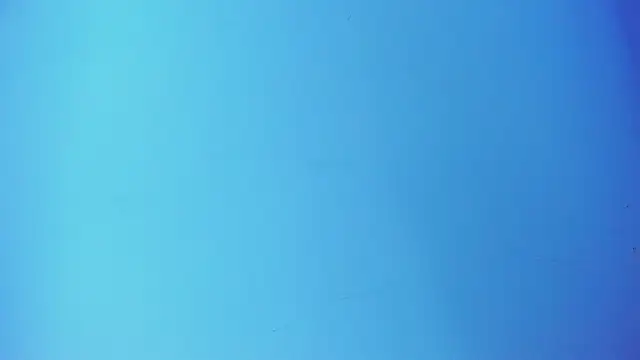  hairybeard  online show from 02/25/25, 07:20