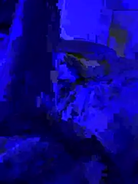 Naylee   online show from 07/04/26, 08:35