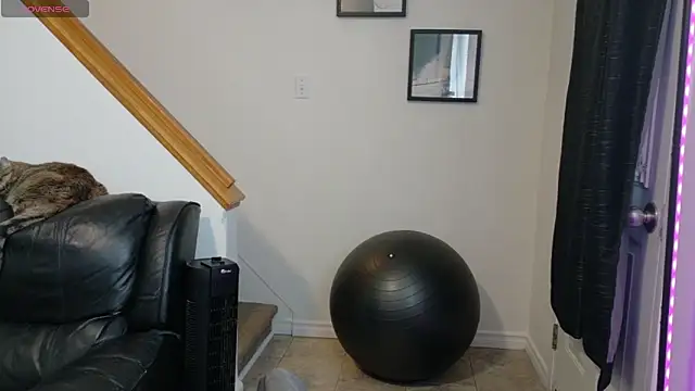 Thekodyy online show from 11/12/25, 01:59