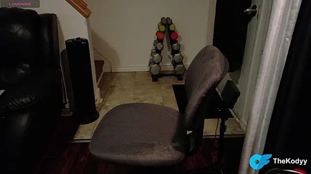 Thekodyy online show from 01/17/26, 08:07