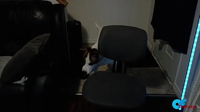 Thekodyy online show from 02/11/26, 06:13