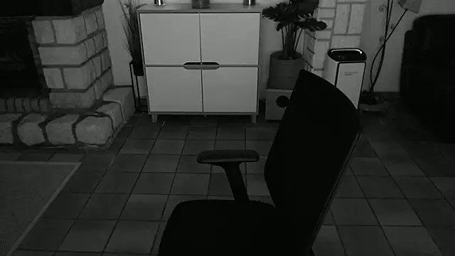 Snapshot of neard chatting on 12/11/24, 09:34 neard online show from 12/11/24, 09:34