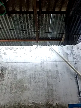      sams online show from 03/11/26, 08:47