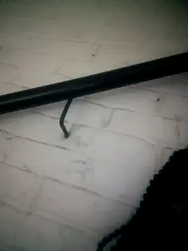 Shria107 online show from 02/20/26, 11:50