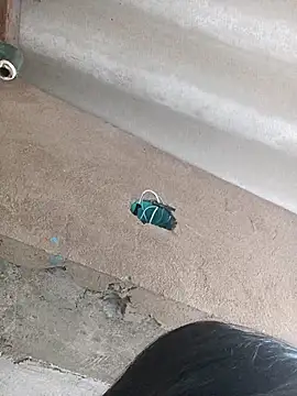 Little Pau Dirty online show from 10/27/25, 11:11