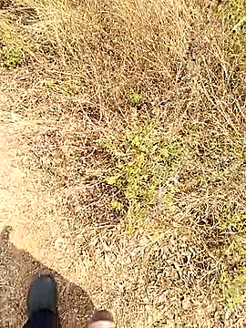 Mrveda66 online show from 02/23/26, 06:14