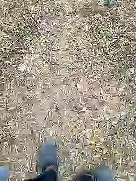Mrveda66 online show from 02/10/26, 11:09