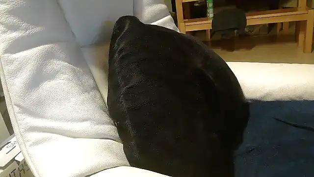 defttonguexxx online show from 01/08/26, 09:21