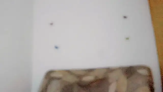 TatiGil online show from 04/10/26, 08:49