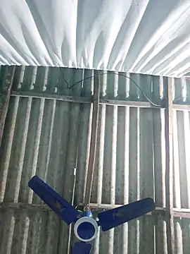 hotbaby 5 online show from 11/05/25, 04:10