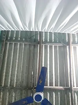 hotbaby 5 online show from 11/18/25, 03:59