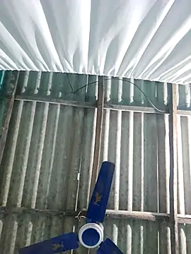 hotbaby 5 online show from 11/22/25, 06:34