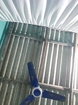 hotbaby 5 online show from 11/23/25, 05:28