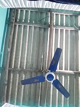 hotbaby 5 online show from 11/07/25, 08:41