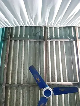 hotbaby 5 online show from 11/26/25, 01:11