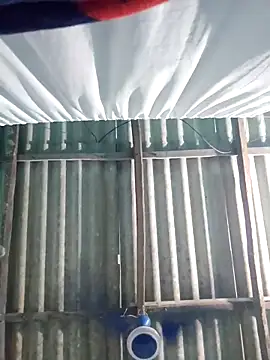 hotbaby 5 online show from 11/06/25, 07:01