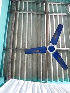 hotbaby 5 online show from 11/16/25, 05:12