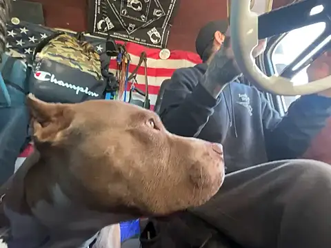 Snapshot of XMeF10 chatting on 11/23/25, 03:22 XMeF10 online show from 11/23/25, 03:22