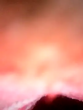 Snapshot of Avantika19 chatting on 01/06/25, 12:13 Avantika19 online show from 01/06/25, 12:13