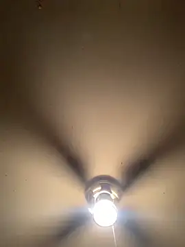 thiccplamp online show from 11/29/25, 03:39