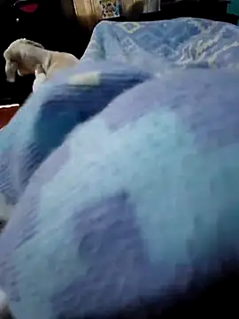 Camilo-31RI online show from 04/03/26, 07:20