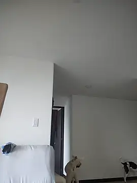 Snapshot of 911Calling chatting on 02/04/25, 09:41 911Calling online show from 02/04/25, 09:41