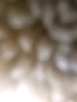 ch   ro69 online show from 03/05/26, 09:22