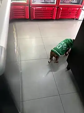 Hjsjsjsjjd online show from 10/14/25, 12:17