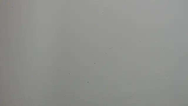 Snapshot of sussy_leon chatting on 03/18/25, 12:28 sussy leon online show from 03/18/25, 12:28