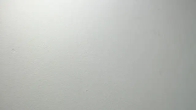 Snapshot of sussy_leon chatting on 02/20/25, 12:15 sussy leon online show from 02/20/25, 12:15