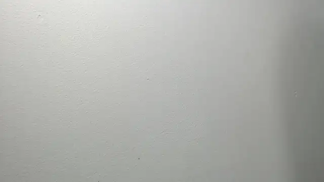 Snapshot of sussy_leon chatting on 03/04/25, 12:22 sussy leon online show from 03/04/25, 12:22