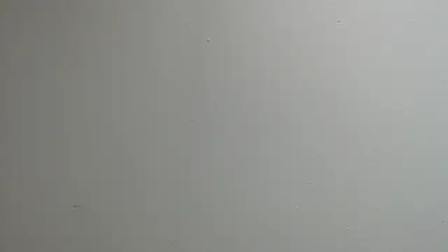 Snapshot of sussy_leon chatting on 03/13/25, 12:24 sussy leon online show from 03/13/25, 12:24