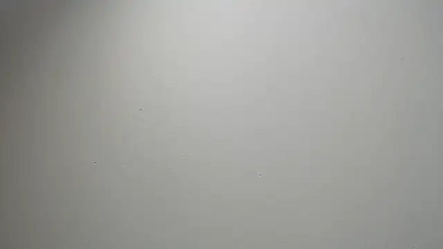 Snapshot of sussy_leon chatting on 02/18/25, 12:06 sussy leon online show from 02/18/25, 12:06