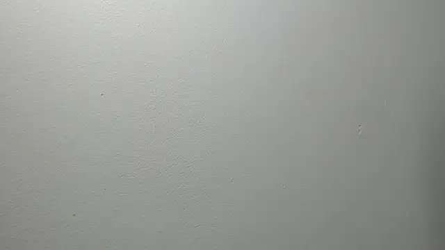 Snapshot of sussy_leon chatting on 02/27/25, 12:34 sussy leon online show from 02/27/25, 12:34