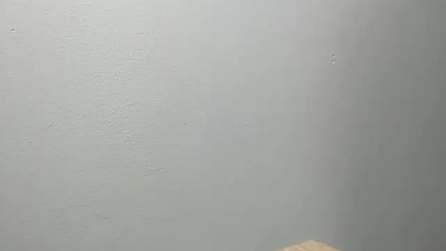 Snapshot of sussy_leon chatting on 02/21/25, 11:55 sussy leon online show from 02/21/25, 11:55