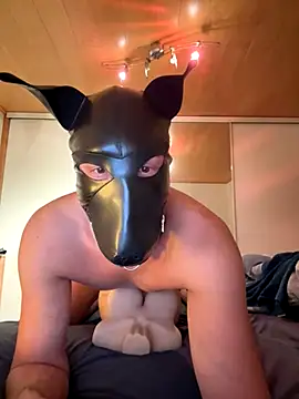 PlayDog123 online show from 11/27/25, 04:40