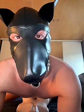 PlayDog123 online show from 11/04/25, 03:16